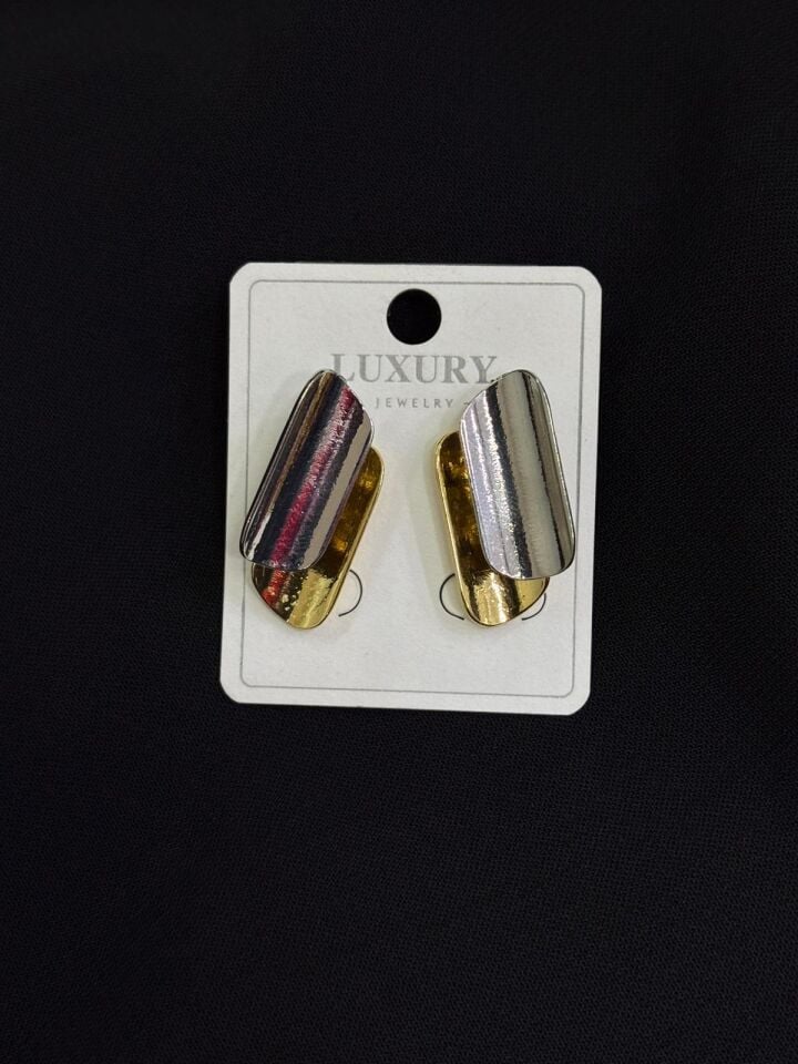 Luxury Çift Renk Küpe