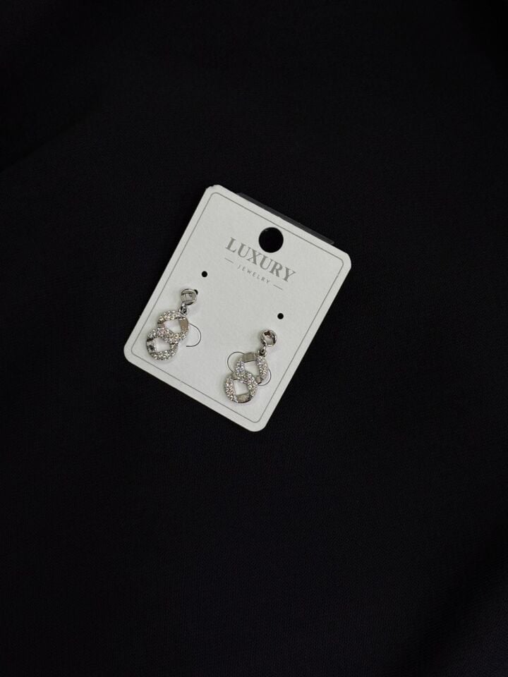 Luxury Gümüş Renk Zirkon Taşlı Küpe