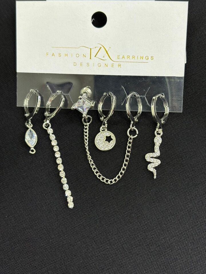 316L Çelik Gümüş Renk 6lı Küpe