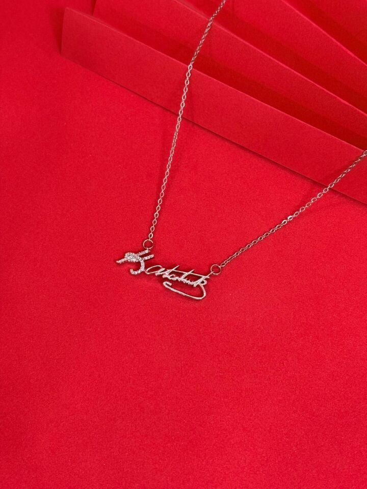 Melisa Takı & Aksesuar 316L Çelik Gümüş Renk ATATÜRK İmzalı Kolye